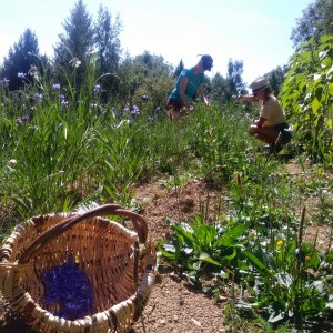 IMG_20190906_124649_299