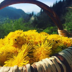 92810172_169909501141816_3301571884767772672_o